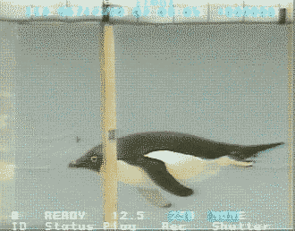 http://people.eku.edu/ritchisong/all.gif