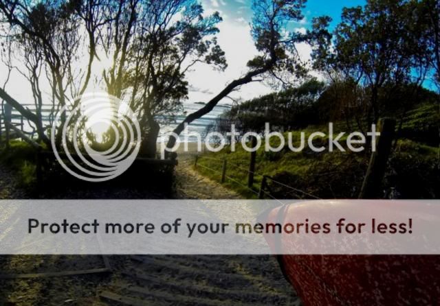 photo tracker3_zps55ee8620.jpg