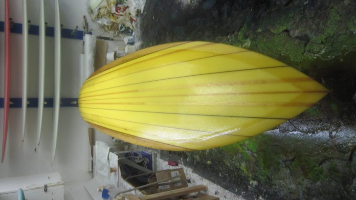 サーフィン・ボディボード HOBIE-VINTAGE (Terry Martin Shape) 9'8\" HOBIE-VINTAGE (Terry Martin Shape) 9'8